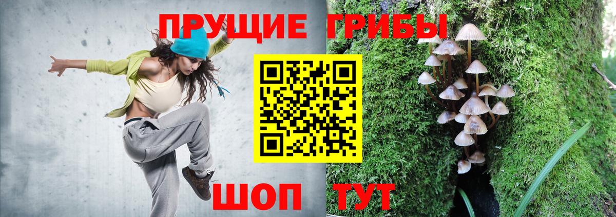 Галлюциногенные грибы мухоморы  Галлюциногенные грибы мицелий  Вход с VPN  Лесозаводск 